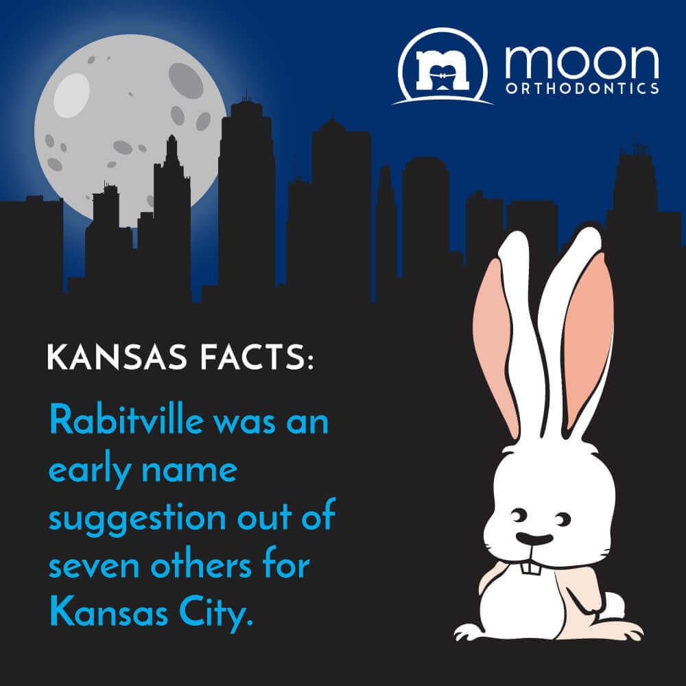 Moon Orthodontics Facts